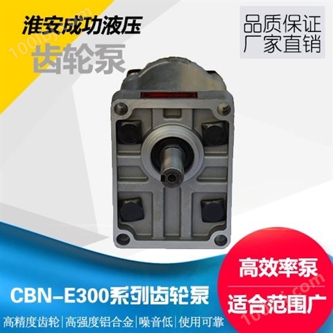 CBN-E300系列齿轮泵