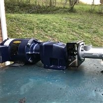 国产单螺杆泵道问pump